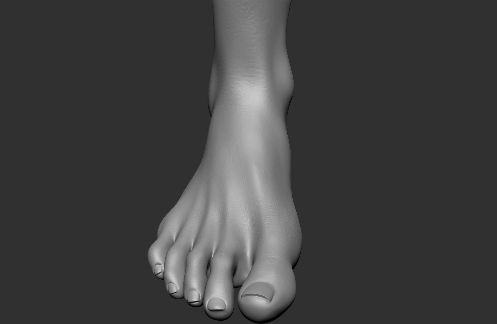 Human foot 3D model TurboSquid 1513287