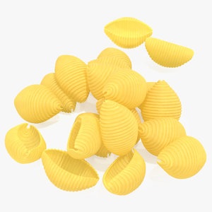 shells pasta 3D