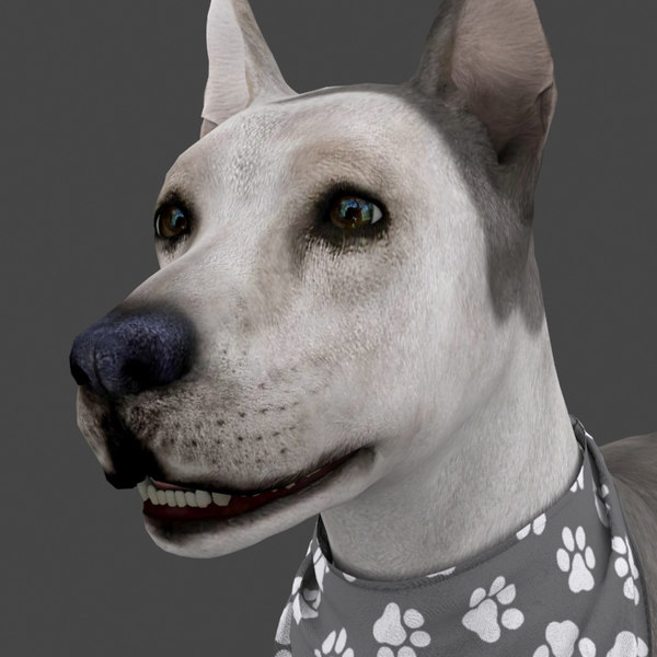 Animated Dog Blender Models for Download TurboSquid