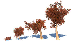 3D stylized trees