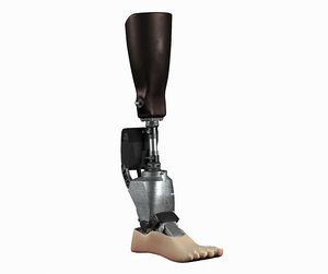3D model leg prosthesis