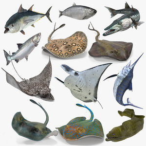 fishes rigged 3D model