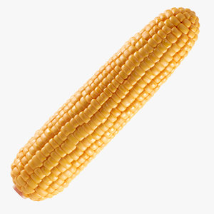 3D corn photorealistic