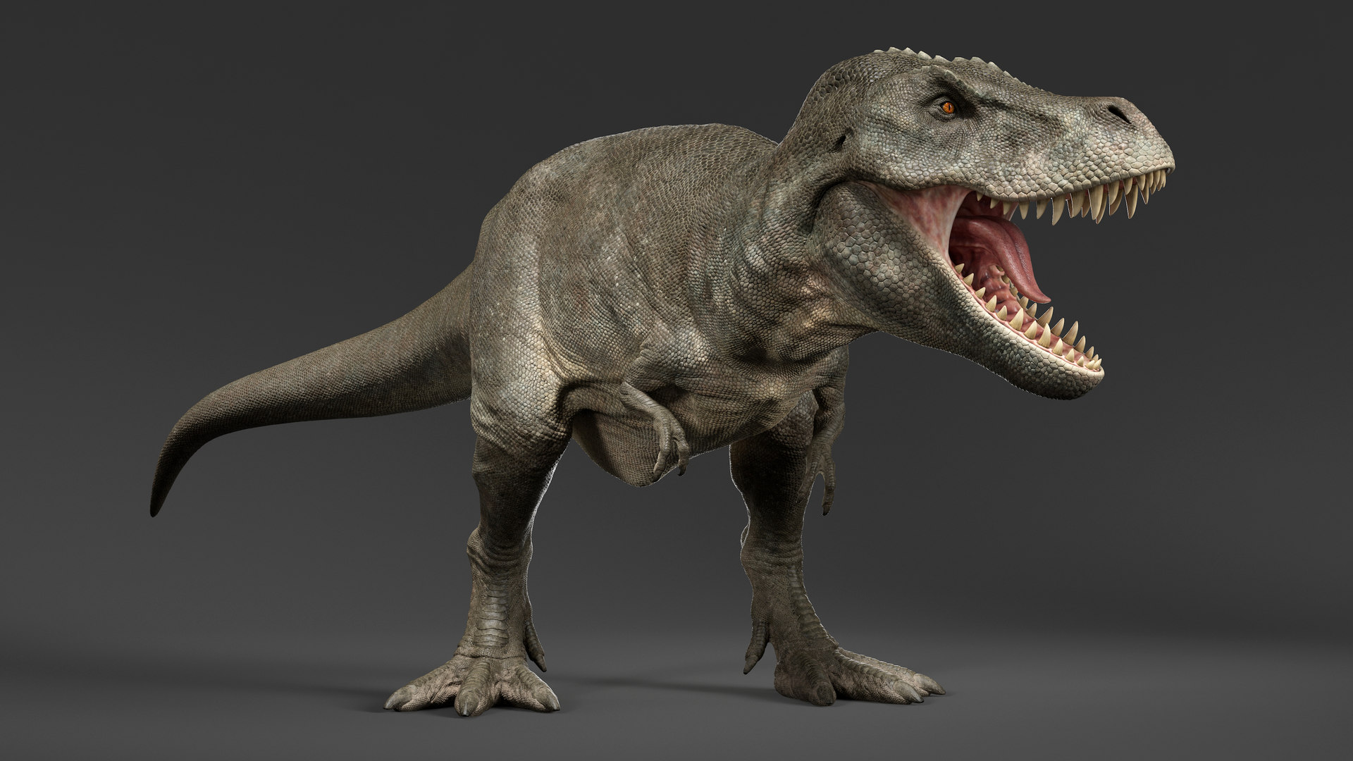 3d tyrannosaurus