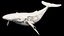 sci-fi whale 3D model