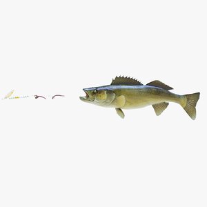 3D walleye animation lure