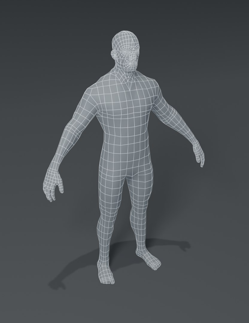 3d model body reference