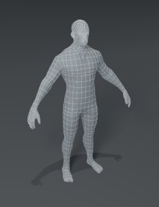 male body base mesh 3D model