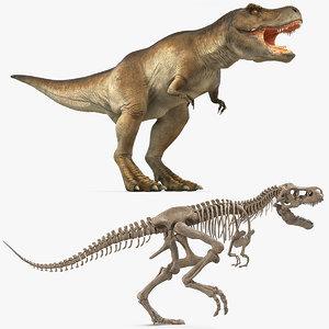 tyrannosaurus rex skeleton fossil 3D