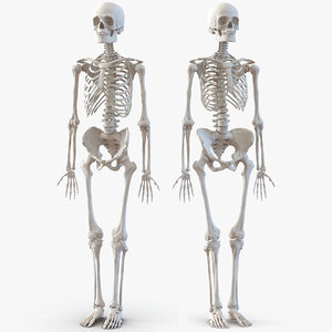 3D human skeletons rigged