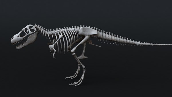 3d Model Rigged Tyrannosaurus Rex Skeleton Bones - rigged tyrannosaurus rex skeleton in roblox