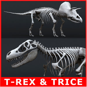 3ds rigged tyrannosaurus rex skeleton