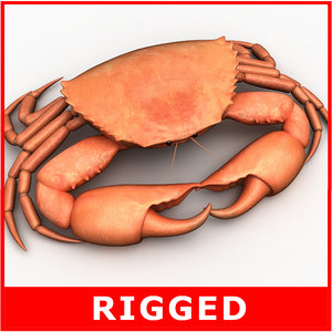 rigged crab 3d model