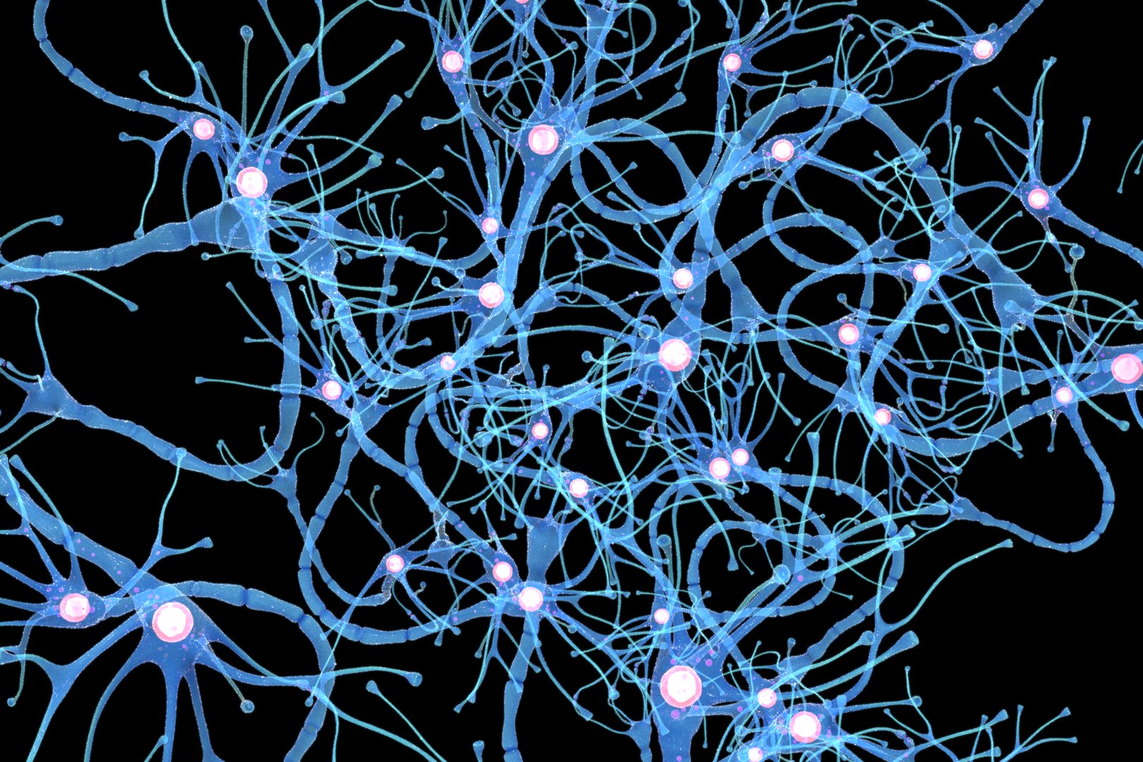 How To Make Nerve Cell Model