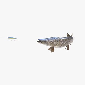 northern pike 3D