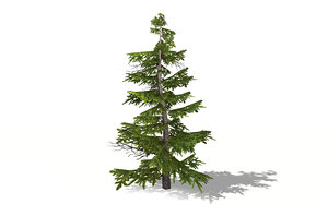 pine tree 3D model