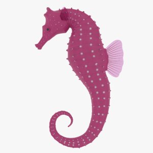 seahorse rigged 3D model
