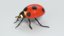 3D ladybug pbr