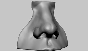 3D nose 3dprint ztl
