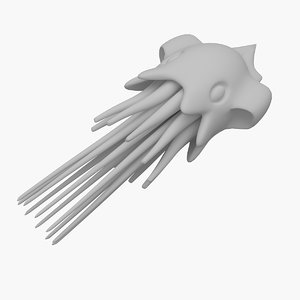 3D model jellyfish print