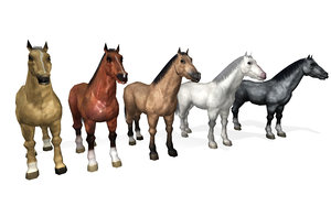 animal horse 3D model