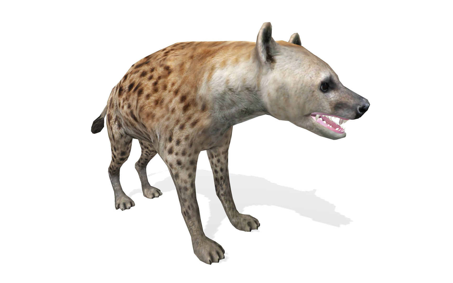 3D model wild animal hyena rigged - TurboSquid 1510883