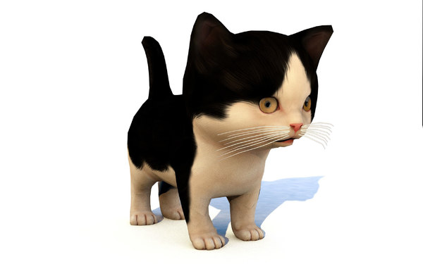 animal kitten cat rigged  