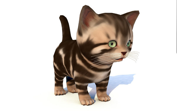  animal cat cute kitten