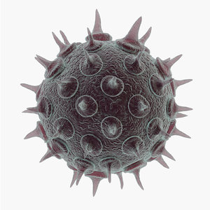 varicella zoster virus 3D