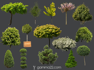 15 TREE & BUSH CUTOUTS in PNG format