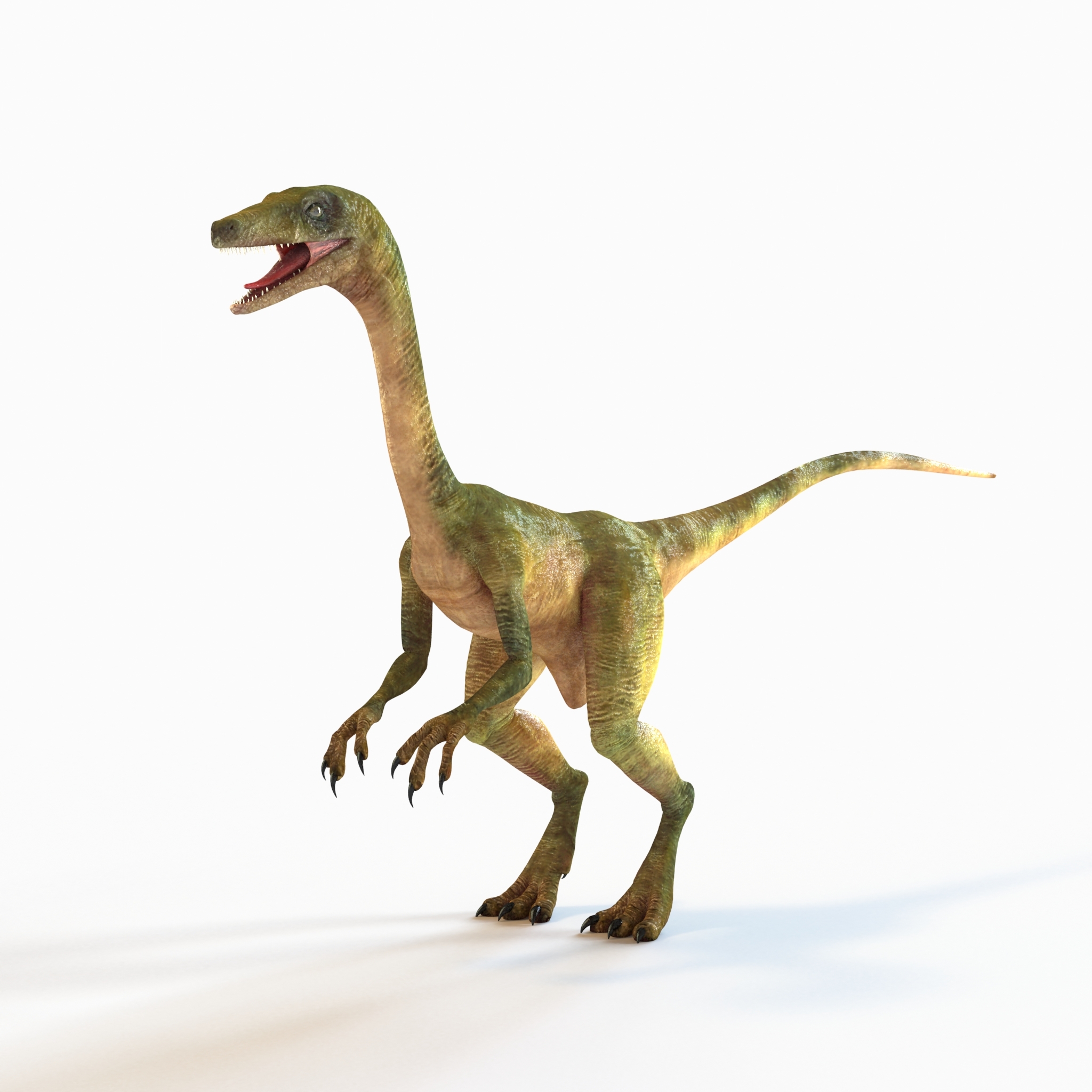 accurate compsognathus