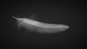 feather 3D model