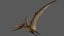 3D rigged pteranodon longiceps