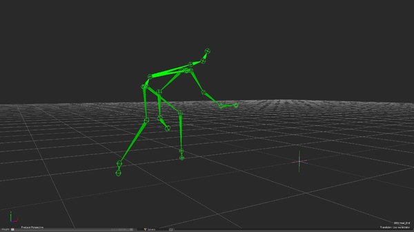 Motion Biovision motion capture basketball