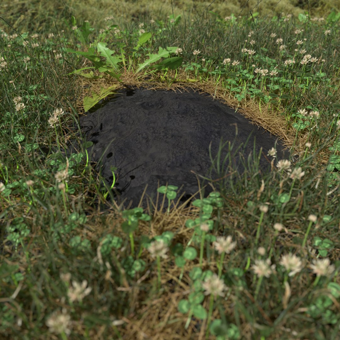 3D pbr mole mound model - TurboSquid 1518930