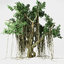 banyan tree model