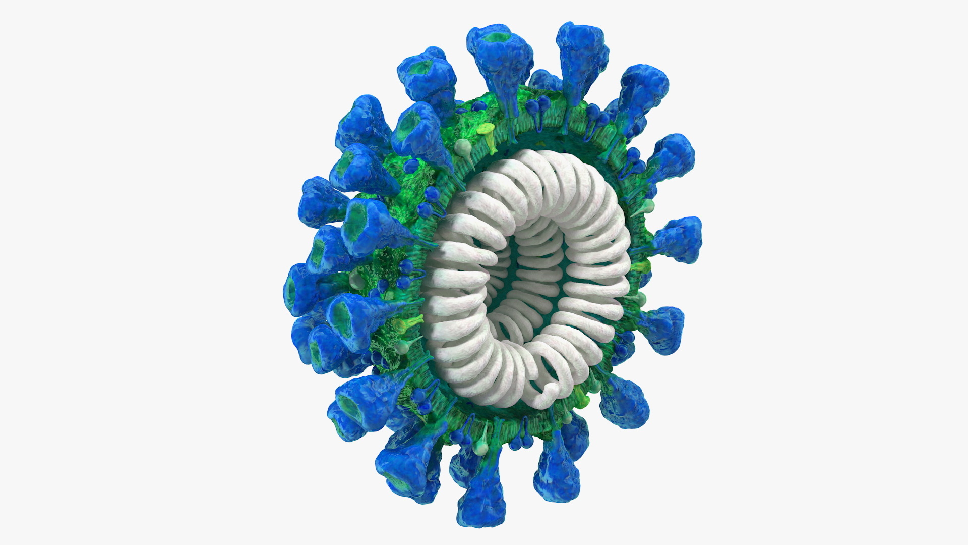 CoronavirusMERSCoVCrossSection3dmodel001.jpgB5FE2533-EE8B-4EFB-B0A3-2BBC1BC52115DefaultHQ.jpg