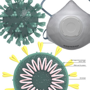 3D model coronavirus mask section
