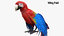 3D parrot rigged model
