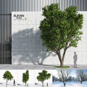 3D trees 3 model