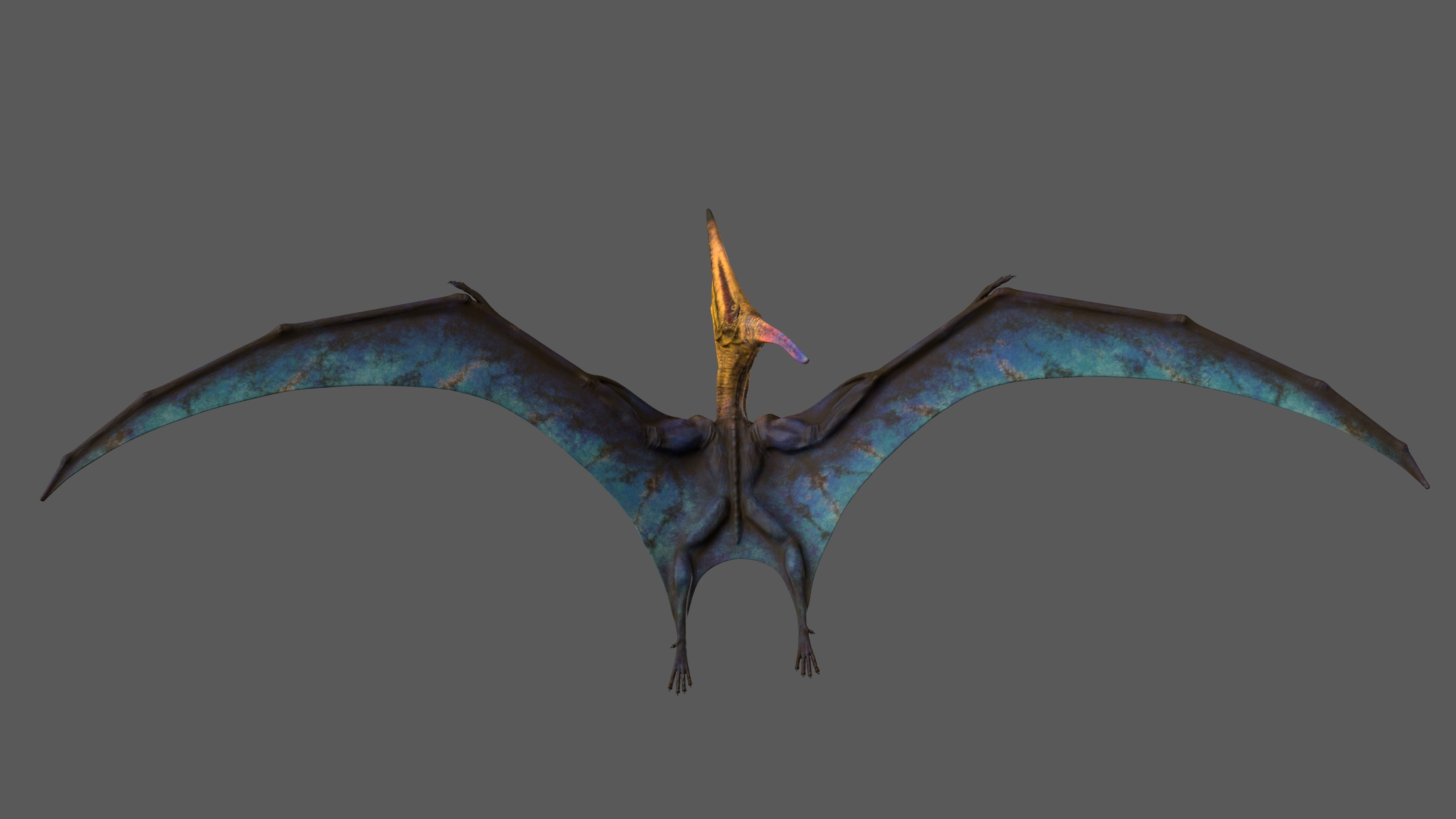 pteranodon 3d