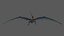 3D rigged pteranodon longiceps cyan model