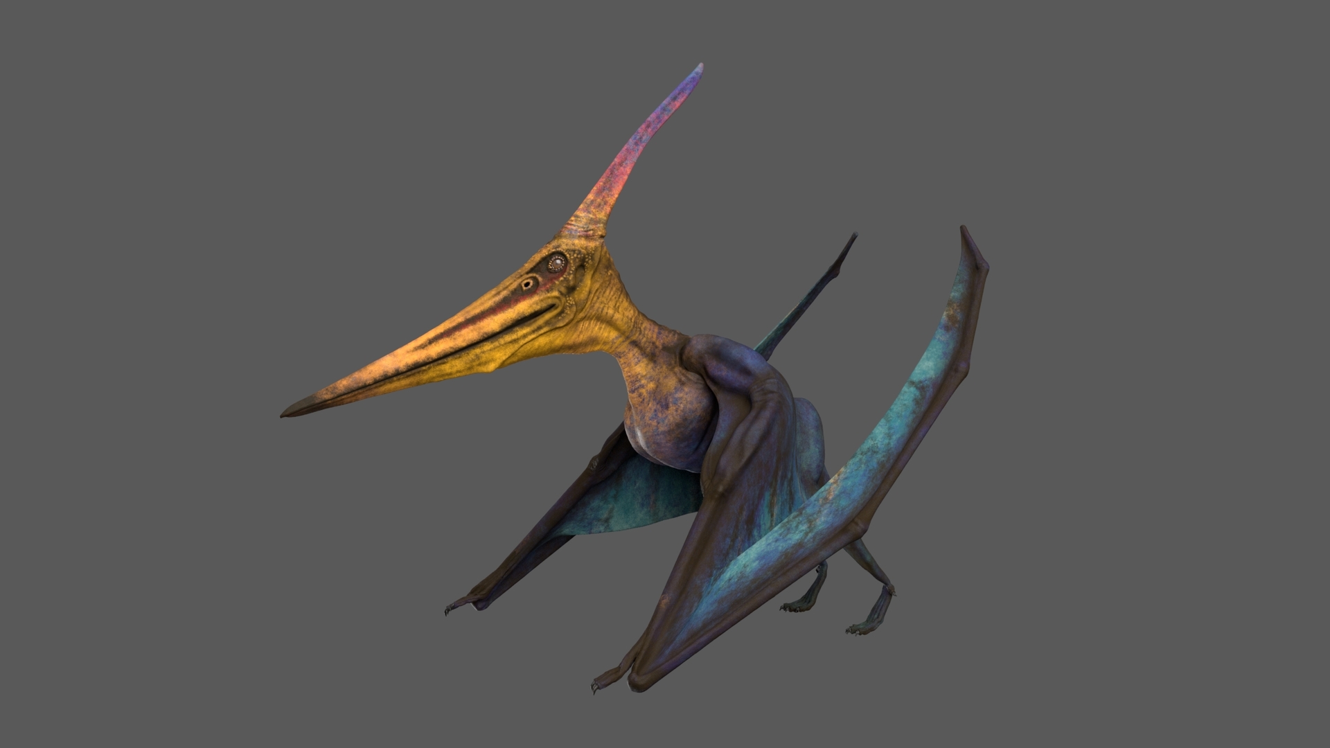 3D rigged pteranodon longiceps cyan model - TurboSquid 1519395