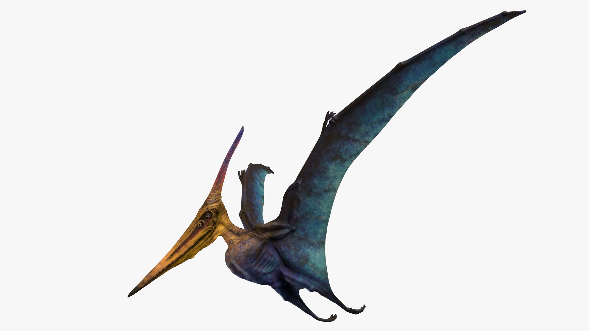 3D rigged pteranodon longiceps cyan model - TurboSquid 1519395