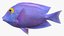 3D freshwater fish