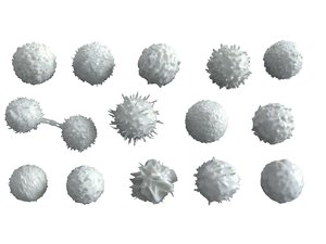 3D model lymphocytes pack