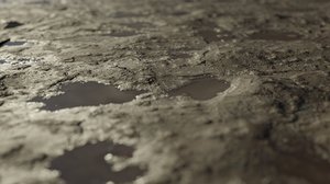 wet mud ground