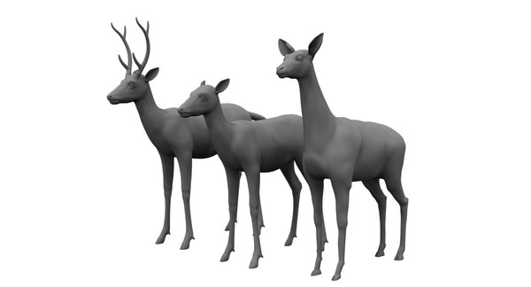 3D deers animal