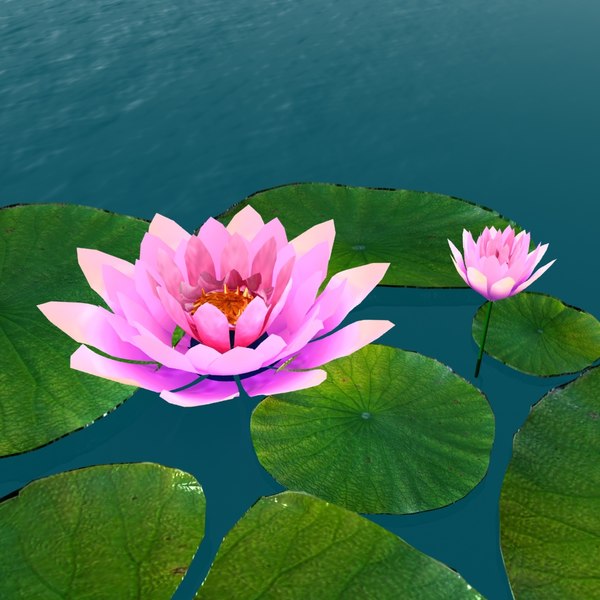 3D water flower model - TurboSquid 1520002