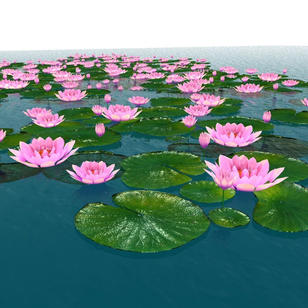3D water flower model TurboSquid 1520002